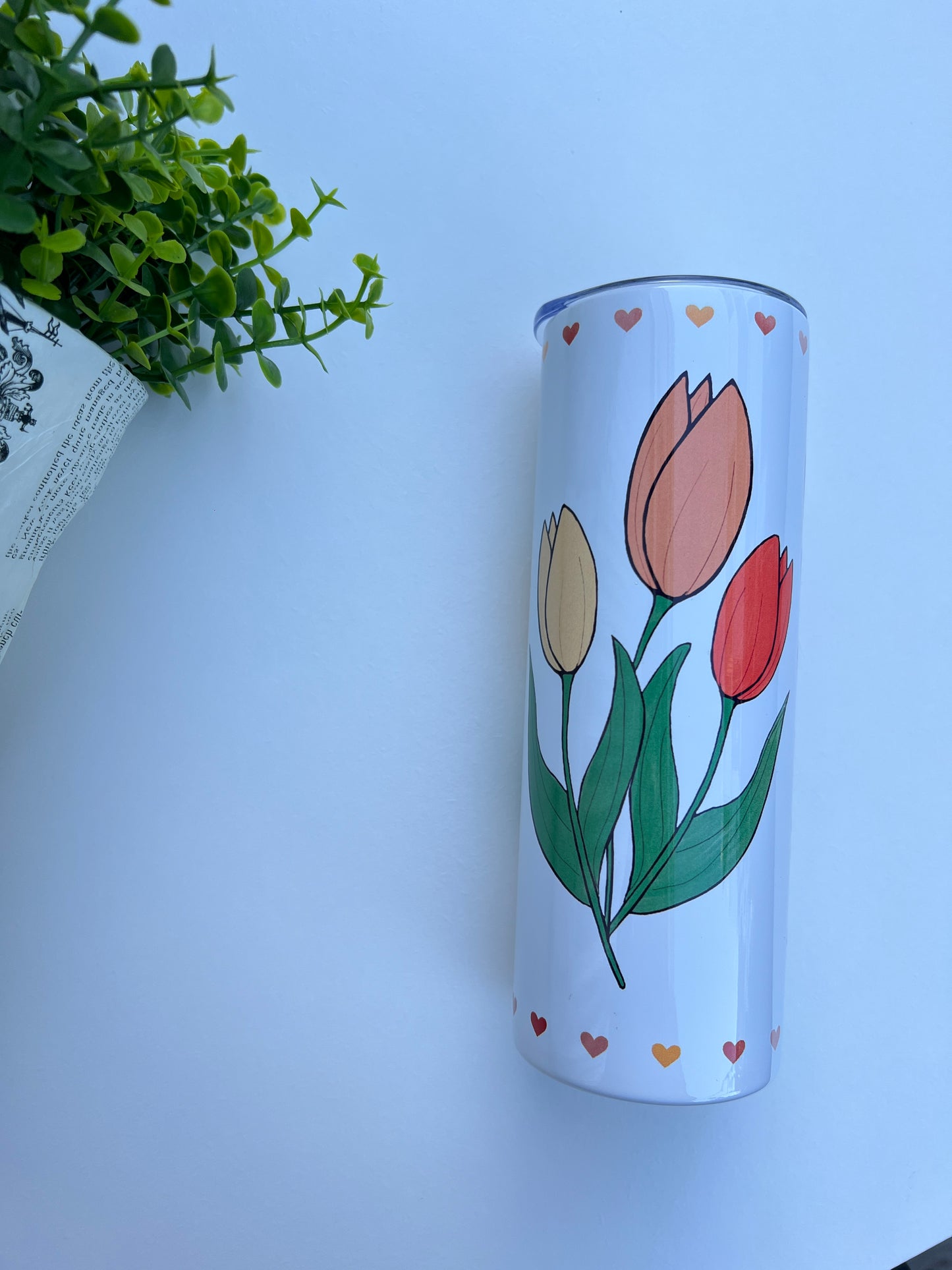 Gourde tulip