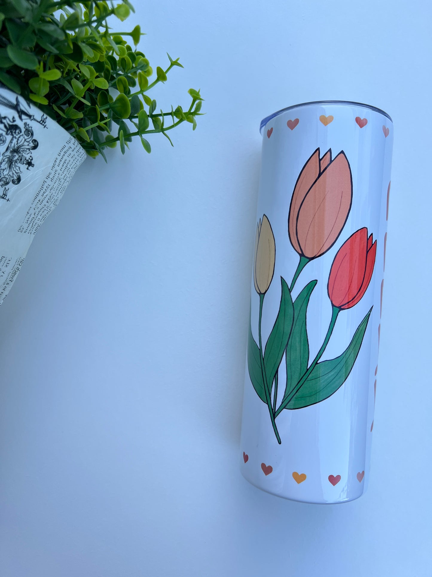 Gourde tulip