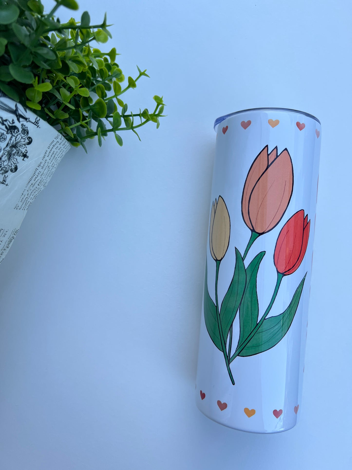 Gourde tulip